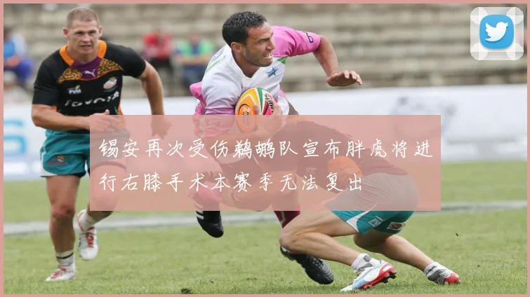 锡安再次受伤鹈鹕队宣布胖虎将进行右膝手术本赛季无法复出