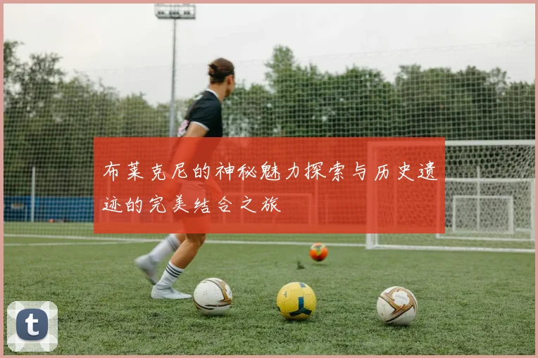 布莱克尼的神秘魅力探索与历史遗迹的完美结合之旅