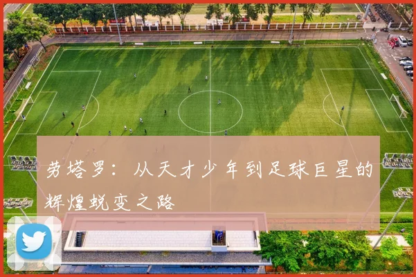 劳塔罗：从天才少年到足球巨星的辉煌蜕变之路