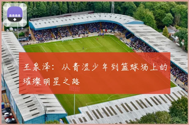 王泉泽：从青涩少年到篮球场上的璀璨明星之路