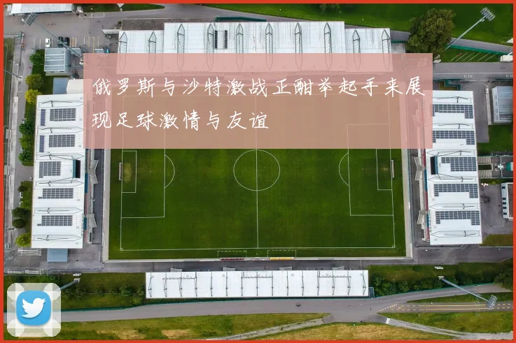 俄罗斯与沙特激战正酣举起手来展现足球激情与友谊
